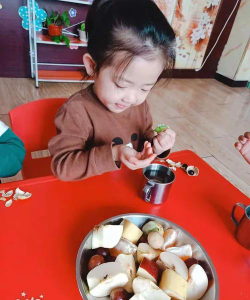 东河康宝幼儿园环境