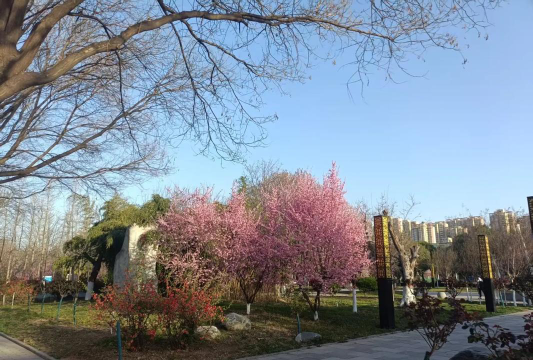 蓝光高中环境
