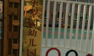 北京市丰台区东罗园幼儿园-顺五条环境