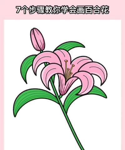 百合花幼儿园环境