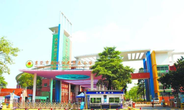 东莞南城阳光第五小学环境