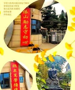 杨家沟学校环境