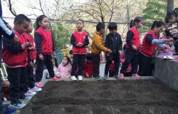 旬阳县神河镇幼儿园环境