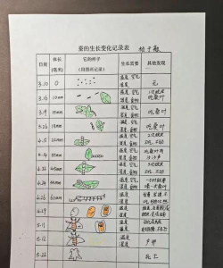记录一生环境