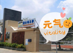 深圳市宝安区富源文武学校幼儿部环境