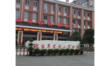 崇实小学环境