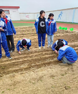 良种场完小环境