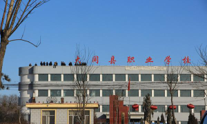 大同县职业学校环境