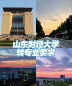 山东财经大学环境