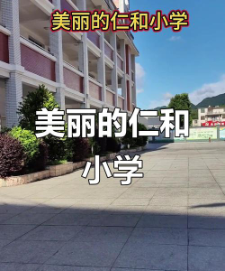 桂阳县洋市镇仁和小学环境