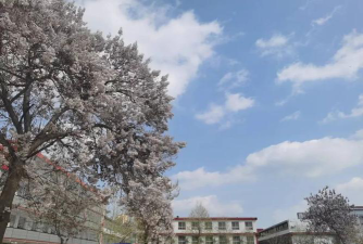 府兴中学环境
