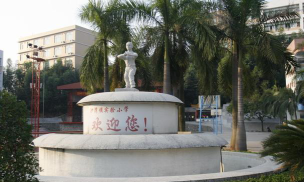 沙湾镇实验小学环境