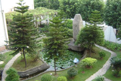 番禺区大岗镇中心小学环境