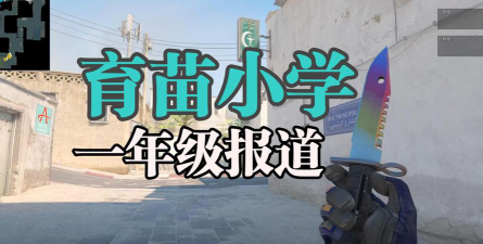 上海育苗小学环境