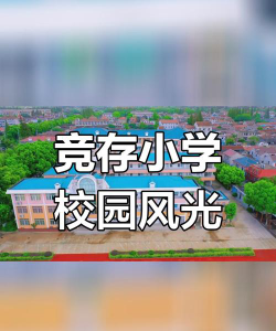 上海竞存小学环境