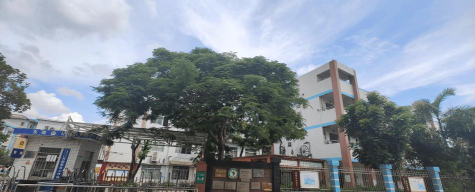 东莞常平土塘小学环境