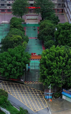广州银林小学环境