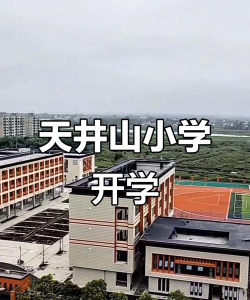 天井山小学环境