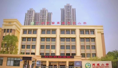 广州番禺区天成小学环境