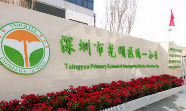 深圳清一小学环境