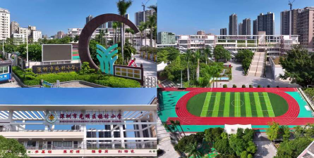 深圳楼村小学环境