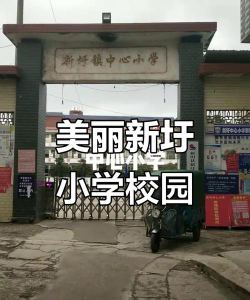 信宜市朱砂镇新圩小学环境