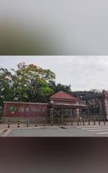 大沥镇沥东村江夏群星幼儿园环境