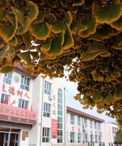 方顺桥三中环境