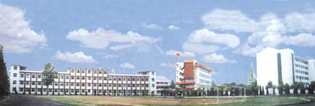 仙桃市彭场高级中学环境