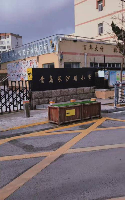 和平区长沙路小学环境