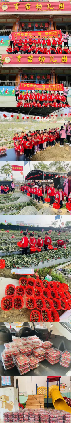 高州市泗水镇育苗幼儿园环境