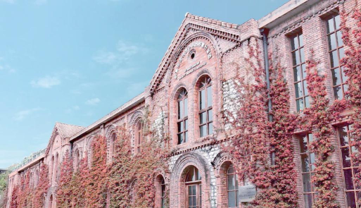 四川国际标榜职业学院环境