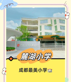 长沙市岳麓区学湖小学环境