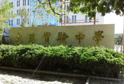天津大港实验中学环境