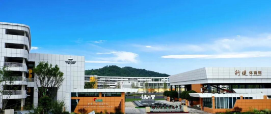 绵阳东辰高级中学（仙海区）环境