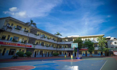 桂城平洲中心小学环境