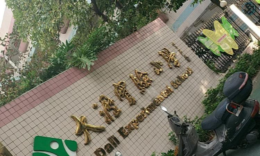 大沥实验小学环境