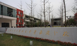 上海交通大学附属中学嘉定分校环境