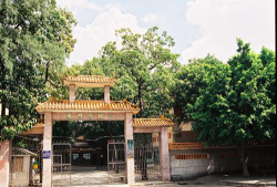 大良大门小学环境