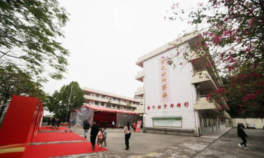 容桂马冈小学环境