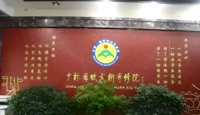 郑州登封少林鹅坡武术学校环境