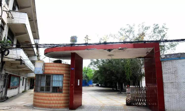 齐杏小学校环境
