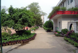 长沙市桐梓坡小学环境