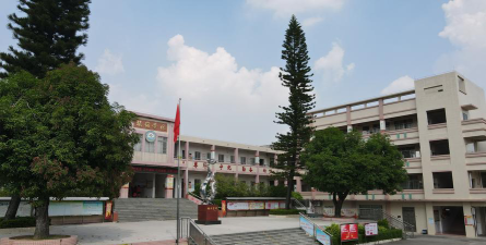 杜阮镇龙岭小学环境