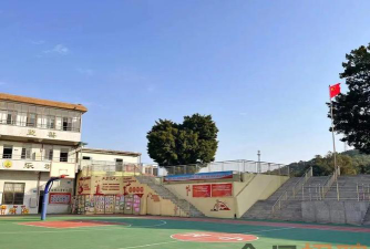 棠下镇虎岭小学环境