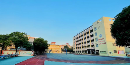 杜阮镇瑶芦小学环境