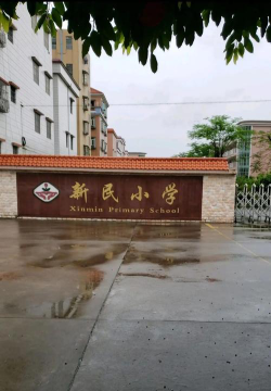 礼乐新民小学环境