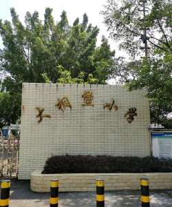 佛山市南海区西樵镇大桐堡小学环境