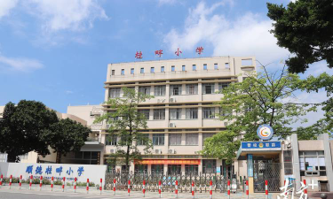 佛山市顺德区桂畔小学环境