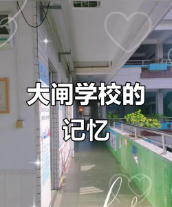 佛山市顺德区乐从大闸小学环境